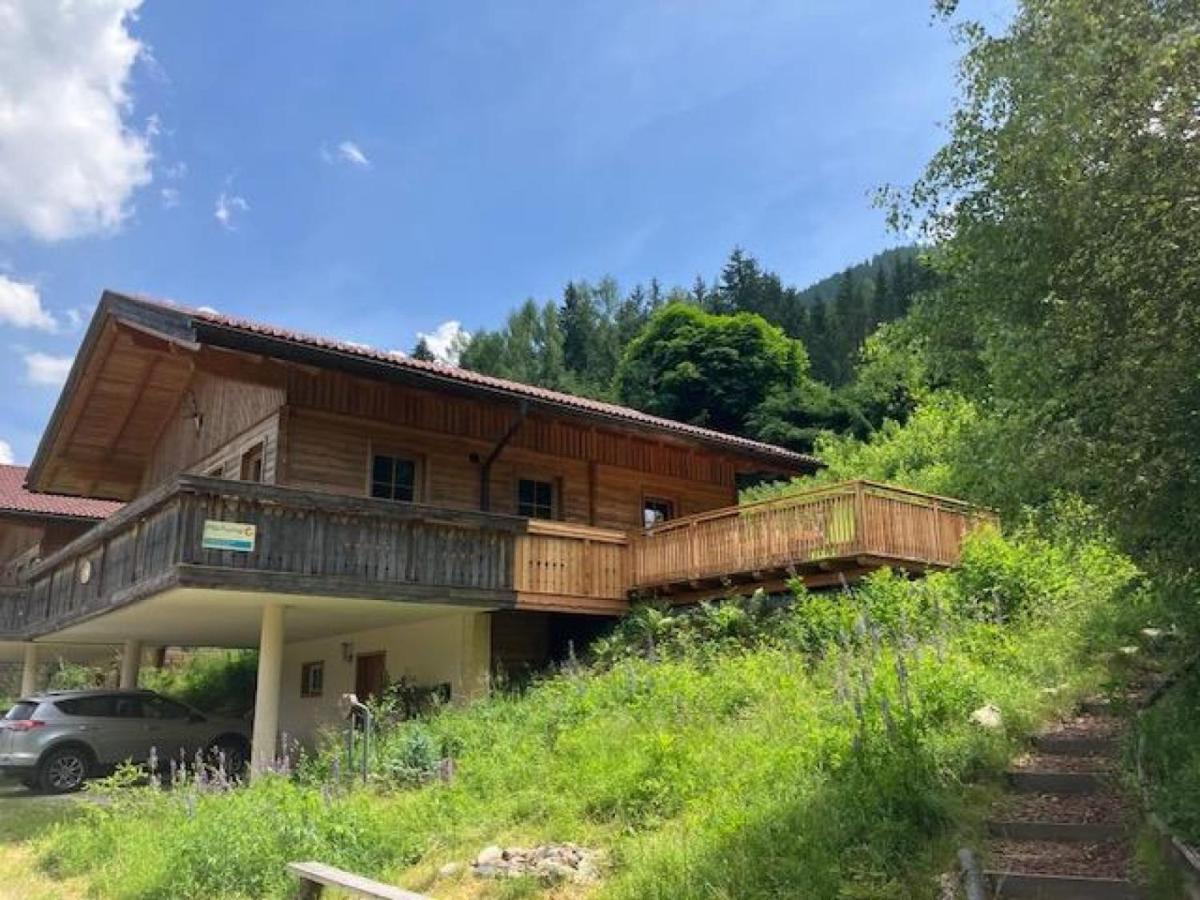 Chalet Chalet Venus By Interhome Patergassen Ngoại thất bức ảnh