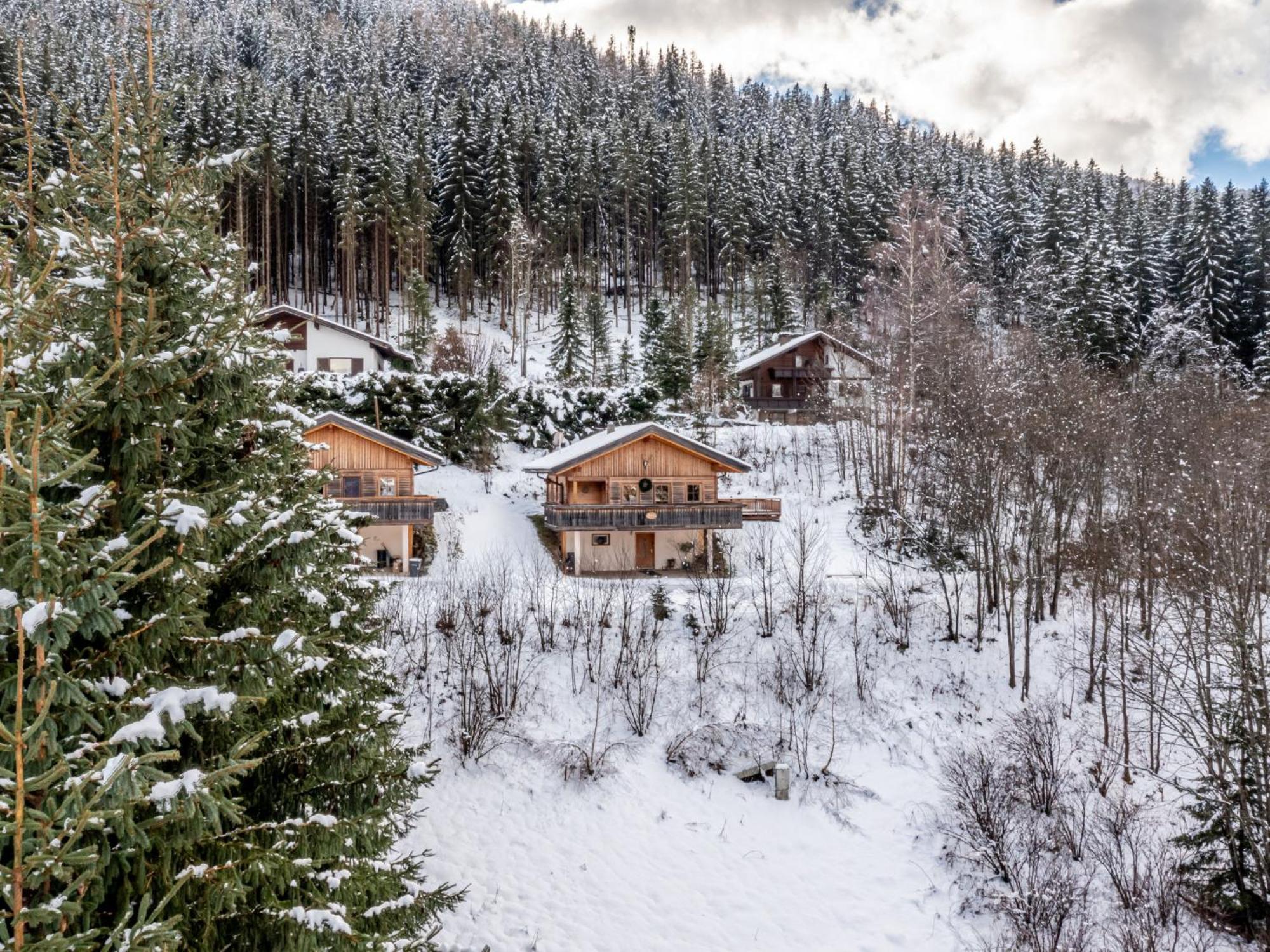 Chalet Chalet Venus By Interhome Patergassen Ngoại thất bức ảnh